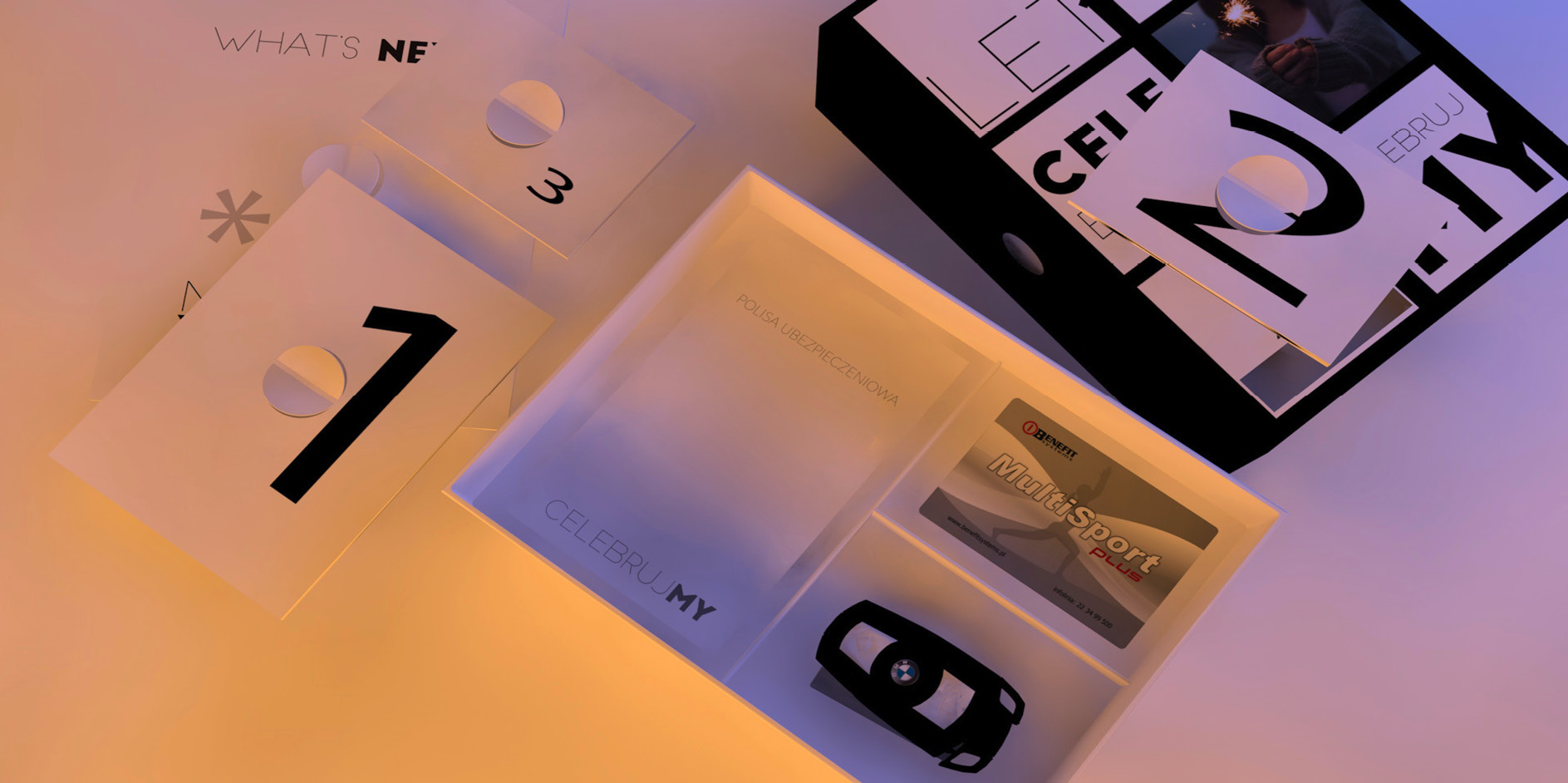 Portfolio Work
